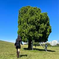 한국의 하이드파크 “올림픽공원”🌳
