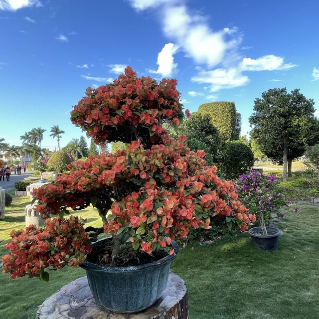 彰化御花園-萬景藝苑