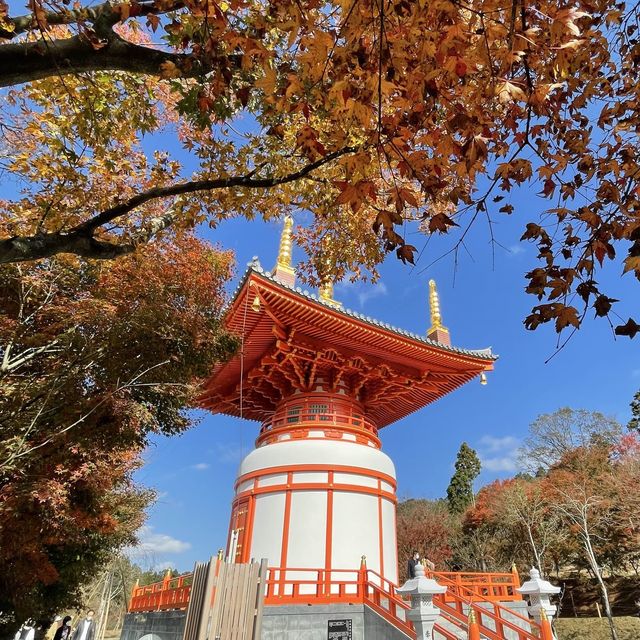 【福岡】瑜祇大宝塔の特別拝観 【福岡】瑜祇大宝塔の特別拝観