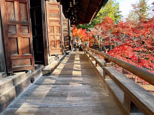 真正極楽寺 (真如堂)
