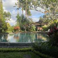 A corner of Paradise , Bali Island 