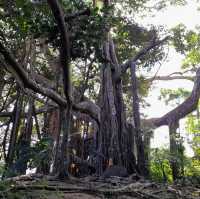 เขาหลวงสุโขทัย อุทยานแห่งชาติรามคำแหง