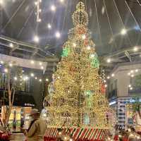 Paris Van Java Christmas