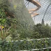 ICONIC Cloud Forest-Singapore