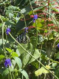 Nature Education Centre in Sai Kung