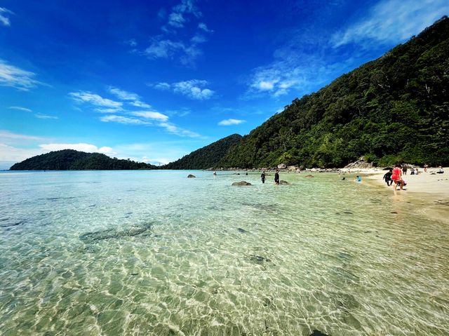 อุทยานแห่งชาติหมู่เกาะสุรินทร์ ปะการังยืนหนึ่ง 