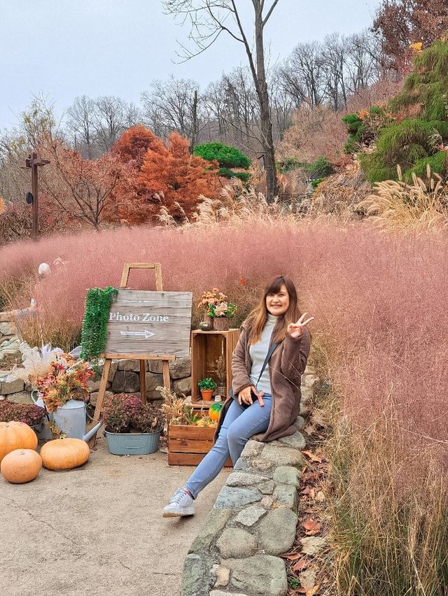 Hwadam Botanic Garden at South Korea 🇰🇷
