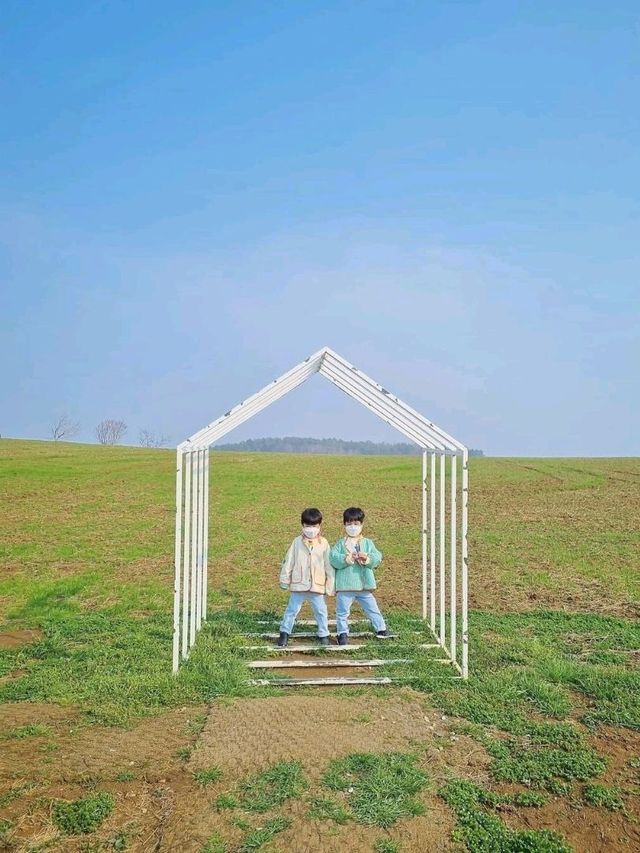 고창의 필수 방문코스 상하농원