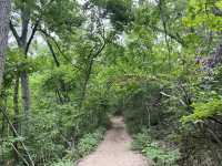 Three Dunes Challenge Hike 