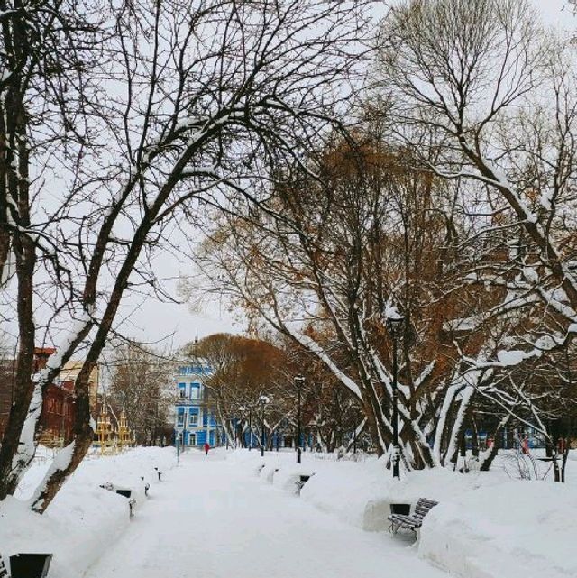 beautiful winter 