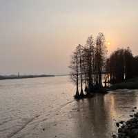 Take a boat ride to an island in Guangzhou