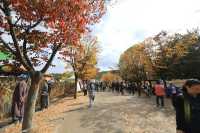 이천 쌀문화축제~ 최고의 가을축제