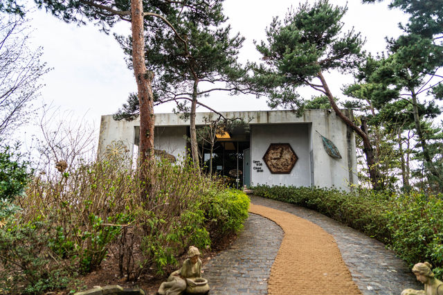 섬, 바다, 카페, 펜션 같은게 없는 나문재
