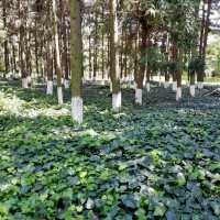 Experiencing the minority cultures of Yunnan