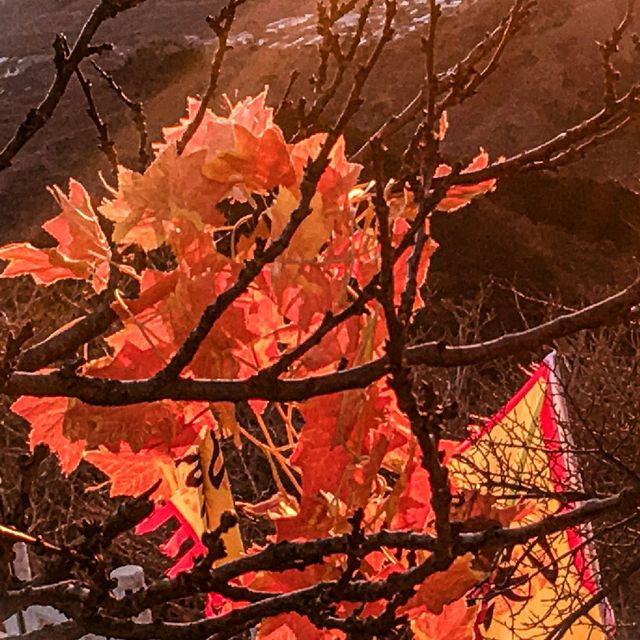 Autumn at Great Wall of China!