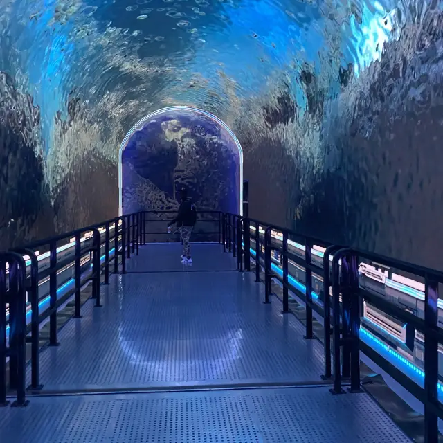 Time tunnel @ Qiandaohu 