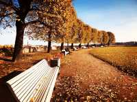 Autumn colors by the Neva River.