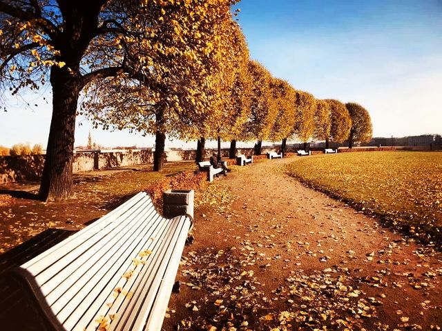 Autumn colors by the Neva River.
