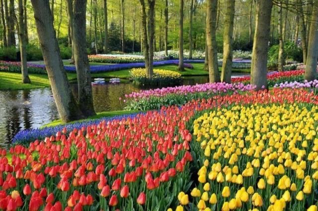 "The most beautiful spring in the world", "The garden of Europe",