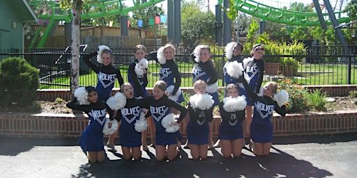 Pom Pom Dance Class | TBA Owings Mills