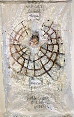 SciArt LASER Talk with Ruth Wallen and Beverly Naidus | Santa Fe Art Institute