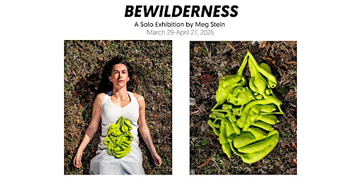 BEWILDERNESS Opening Reception | 1320 Old Oxford Rd suite 7