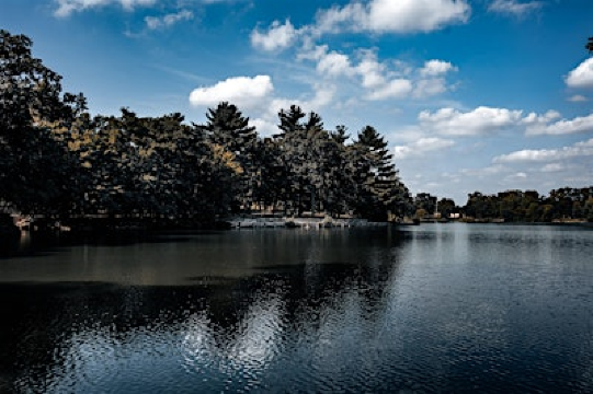 Edge Yoga Bliss Retreat Day | Herrick Lake Forest Preserve