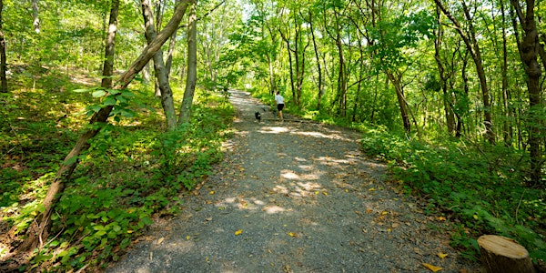 Cross Country Course Volunteer Days | VCPA Garden & Compost Site