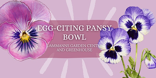 Egg-Citing Pansy Bowl | Dammann's Garden Center & Greenhouse, Inc.
