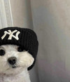 JakeHere