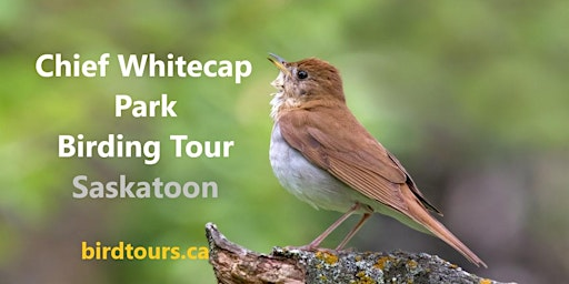 Chief Whitecap Park Birding and Hiking Tour | Chief Whitecap Park