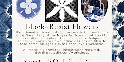 The Art of Shibori: Indigo & Resist Dyeing Workshop | DC Gallery & Studio
