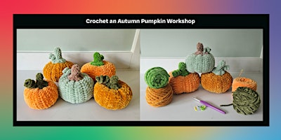 Crochet an Autumn Pumpkin Workshop | William Street