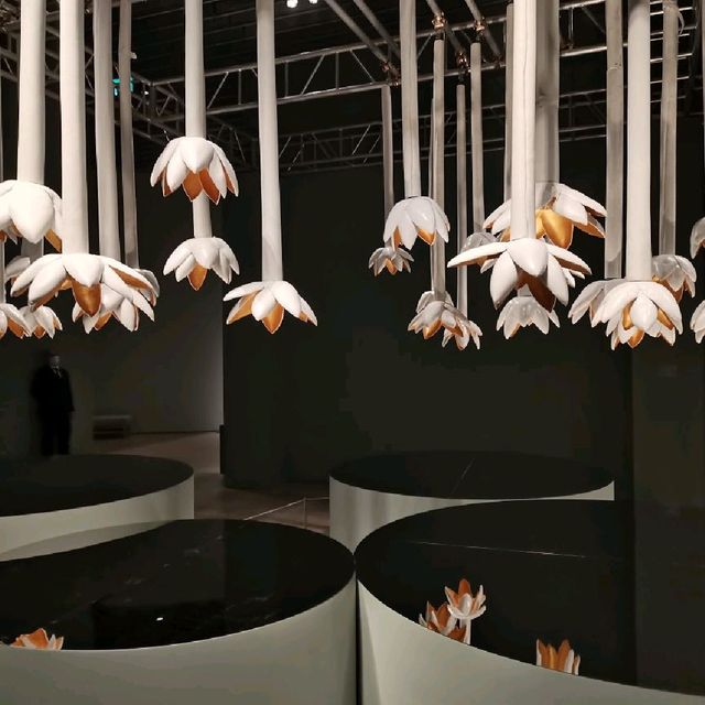 Trip to world of Illusion and reflection