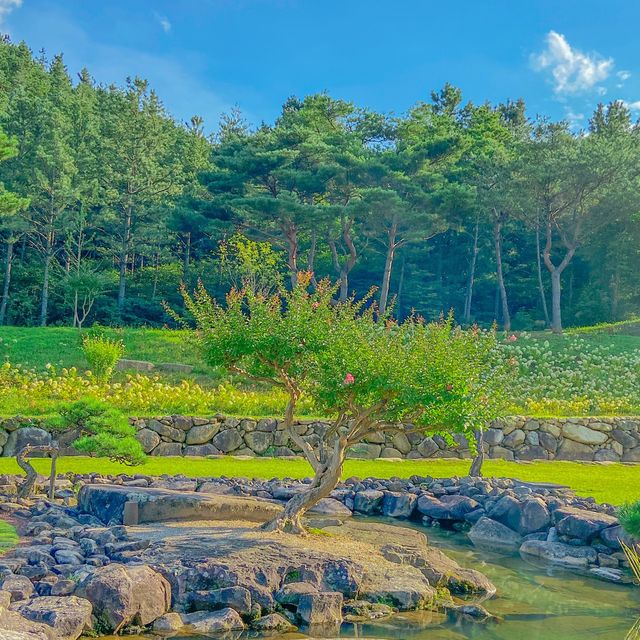 부모님과 산책하기 좋은 산청의 수선사 