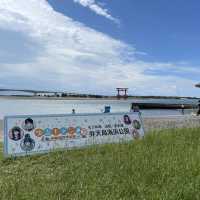 徳川家康ゆかりの地、岡崎and浜松