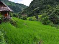 ชมวิว พักผ่อน ในบรรยากาศนาข้าวเขียวขจี