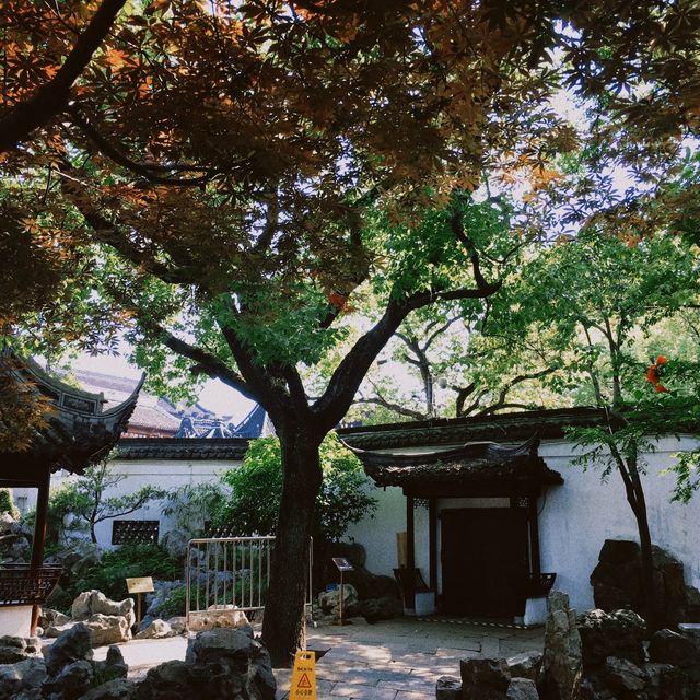 豫園·上海明代園林👍🏻濃厚歷史文化