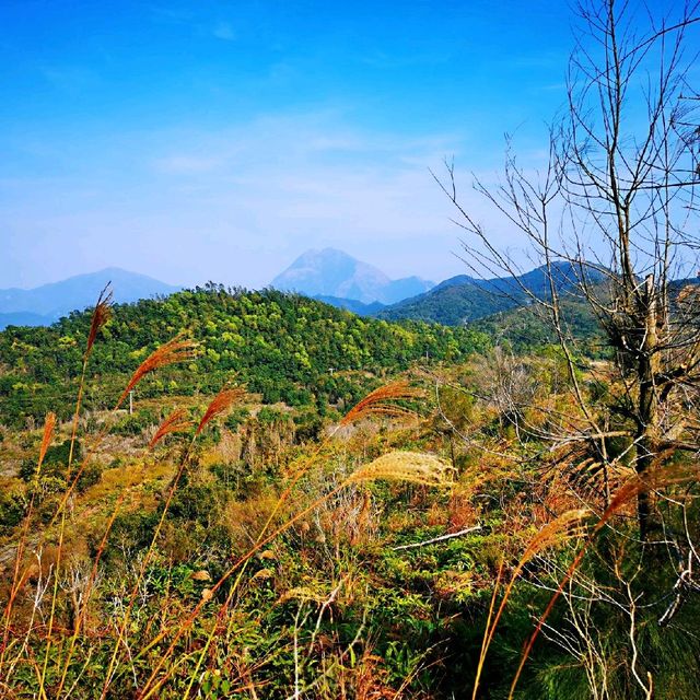 牙鷹山