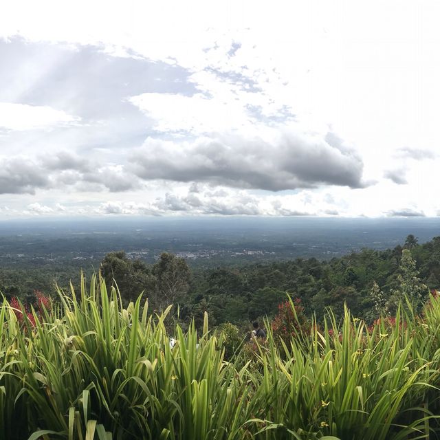 #mountain#cloud#forest