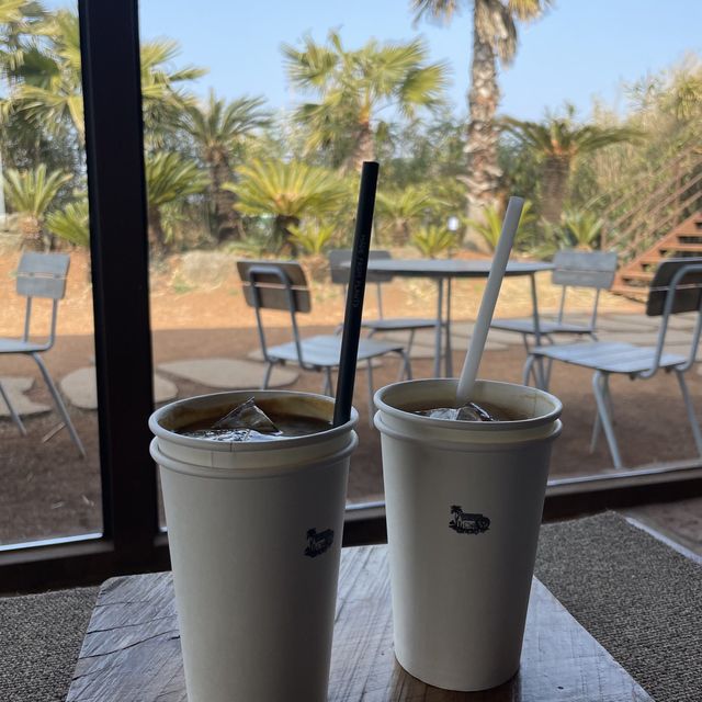 이국적인 제주 야자수카페 🏝