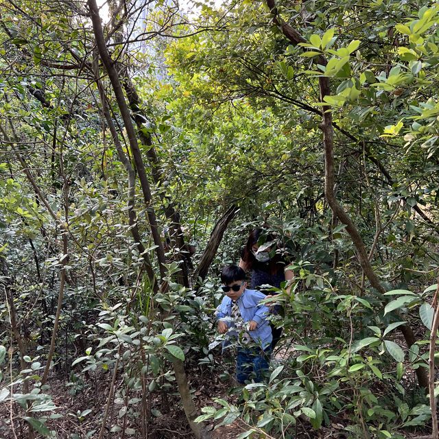 親子行山路線推介：深井肥標 - 全港最肥嘅標高柱