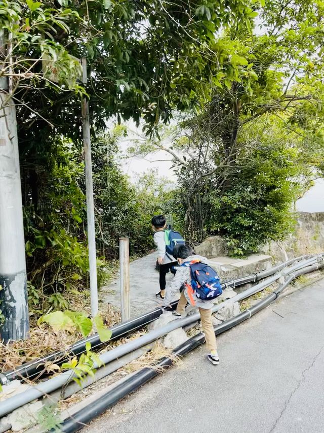 人氣大電視 | 歌連臣角探射燈碉堡 