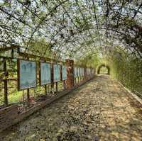 🪴สวนดอกไม้ Phou Pha Champa Lao ພູຜາຈຳປາລາວ