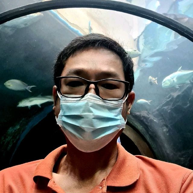 Phuket aquarium
