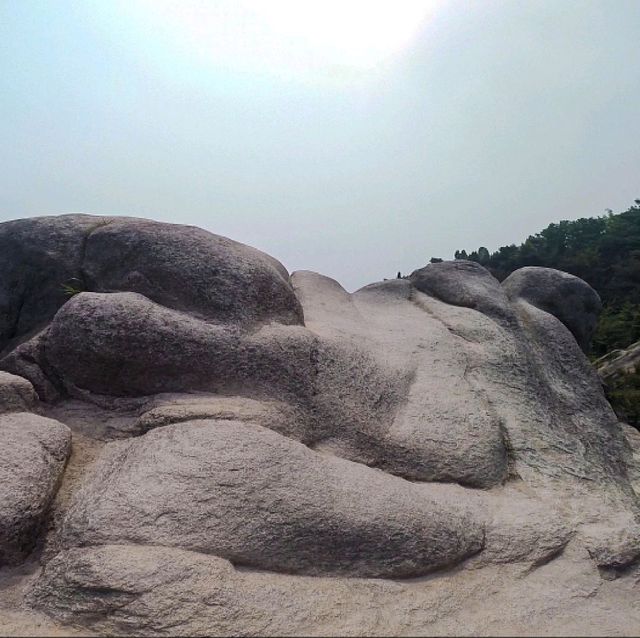 용봉산 등산