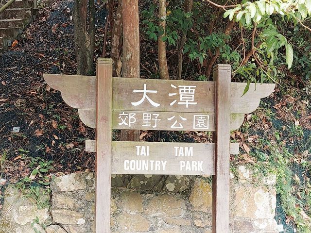 大潭水塘全走
