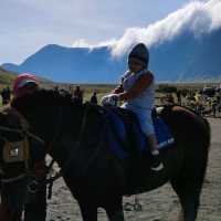 Majectic Bromo