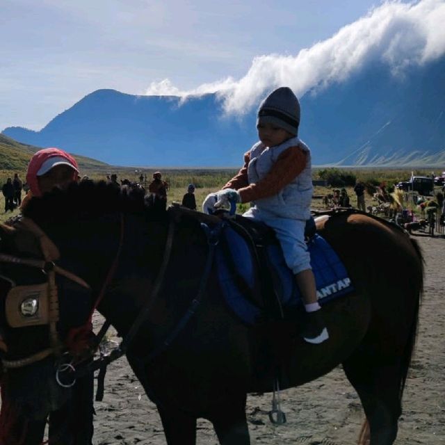 Majectic Bromo