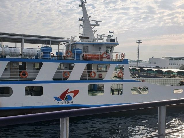 [제주] 우도 산호해변💙 동양에서 유일한 하얀 모래 해수욕장을 볼 수 있는 곳!